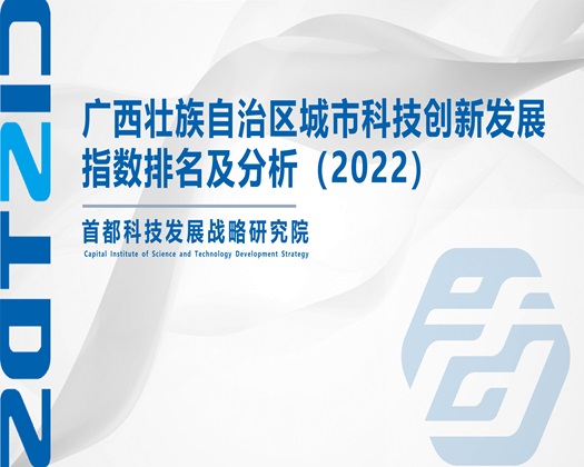 插逼艹艹艹艹艹【成果发布】广西壮族自治区城市科技创新发展指数排名及分析（2022）